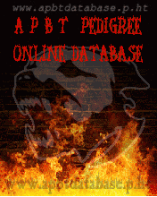 www.apbtdatabase.p.ht - A P B T Online Pedigree Database.